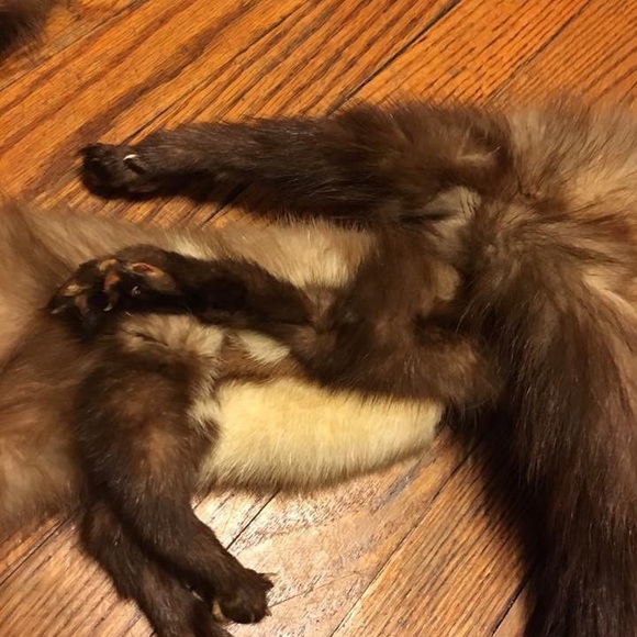 Mink Stole 3 Vintage Fur 40’s scarf - Picture 4 of 8